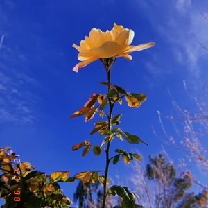 Meet your Posher, Gia